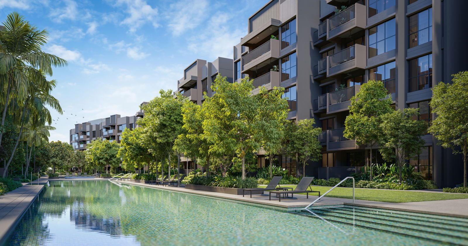 Faber Residence — 50m lap pool courtyard, artist's impression