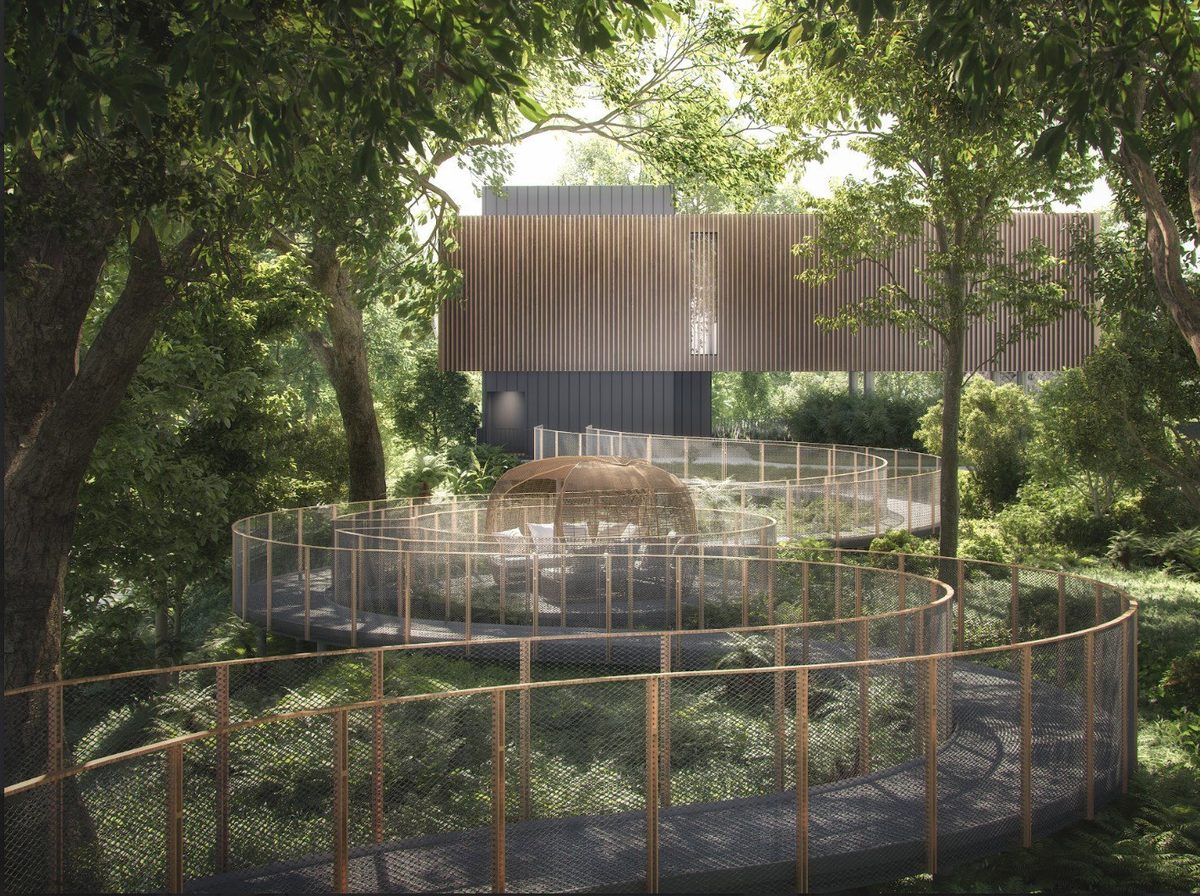 Nava Grove — forest walk