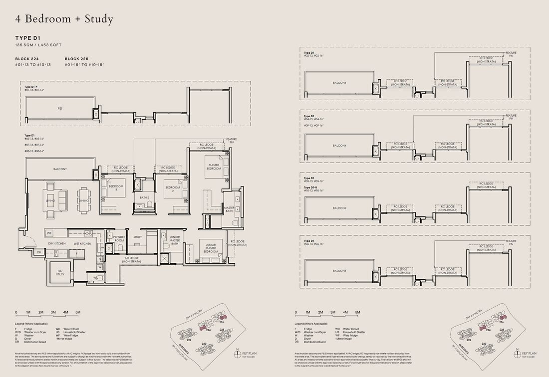 Floor plan D1-P — 4 Bedroom + STUDY